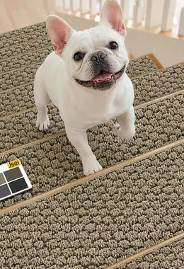14 Pack Stair Treads for Wooden Steps Indoor with TPE Backing